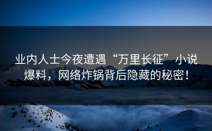 业内人士今夜遭遇“万里长征”小说爆料，网络炸锅背后隐藏的秘密！
