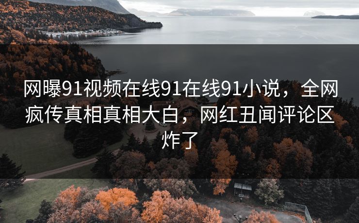 网曝91视频在线91在线91小说，全网疯传真相真相大白，网红丑闻评论区炸了