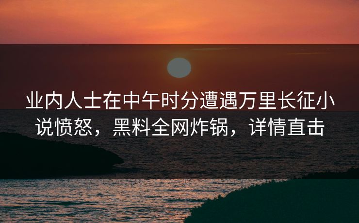 业内人士在中午时分遭遇万里长征小说愤怒，黑料全网炸锅，详情直击
