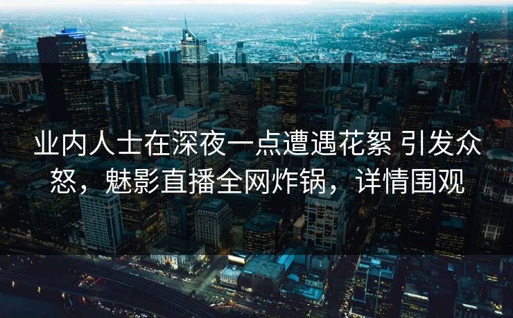 业内人士在深夜一点遭遇花絮 引发众怒，魅影直播全网炸锅，详情围观